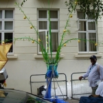 dscn2669