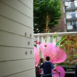 dscn2673