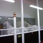 dscn2949