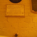 imgp1913