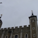 dscn2830