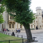 imgp1855