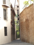 cimg3896