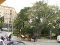 cimg3916