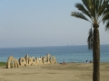 cimg3955