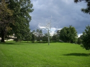 eventi-196
