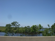 new-orleans-10