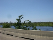 new-orleans-11