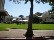 new-orleans-118