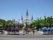 new-orleans-157