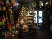 new-orleans-217