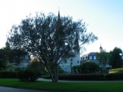 new-orleans-75