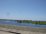 new-orleans-8
