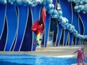 eventi-535