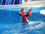 eventi-541