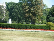 eventi-1248
