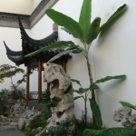 cimg0734