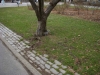 DSCN0021