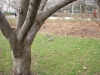 DSCN0022