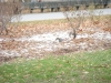DSCN0023