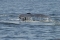 dsc_5596