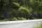 dsc_6403
