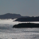 img_0212