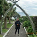 cimg0408
