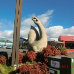 cimg0506
