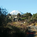 cimg0677