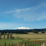 cimg0705