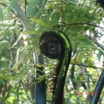cimg0729