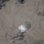 dsc_9600