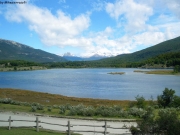 IMGP0276