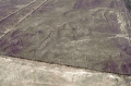 dsc_9912