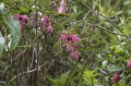 dsc0907