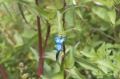 dsc0904