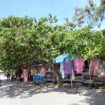 p1040135