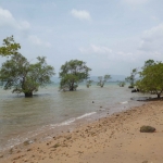 p1040559