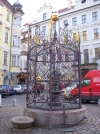 DSCN4945