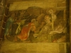 DSCN5042