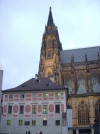 DSCN5069