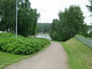 CIMG6233