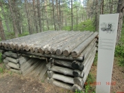 CIMG6431
