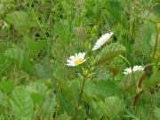 CIMG6156