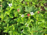 CIMG6833