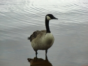 CIMG7307