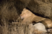 DSC_4809.jpg