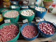 DSCN3231