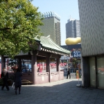 DSCN0780